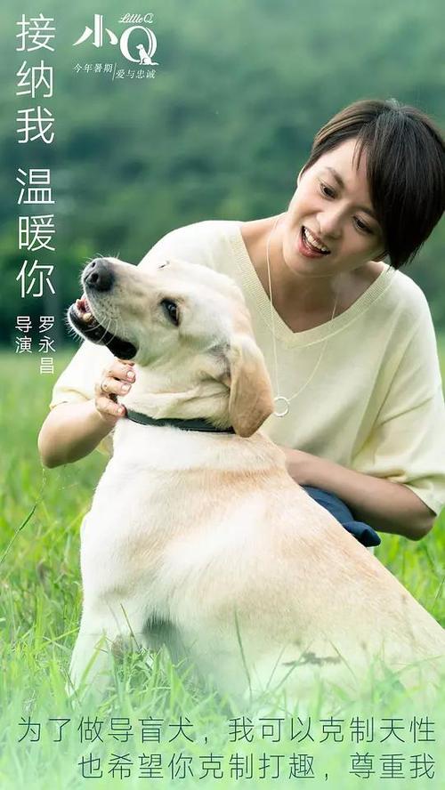 买个假的阿肯色理工大学文凭毕业证